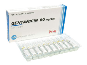 GENTAMYCIN INJ. 80MG/2ML