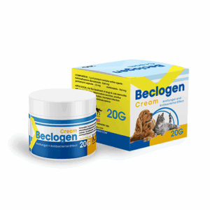 BECLOGEN CREAM 15GM