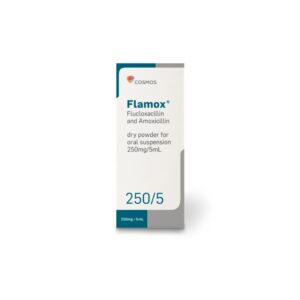 FLAMOX SYRUP 100ML