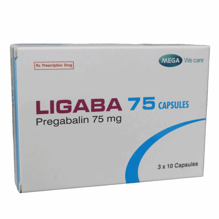 PhotoRoom-20240823_111359_33