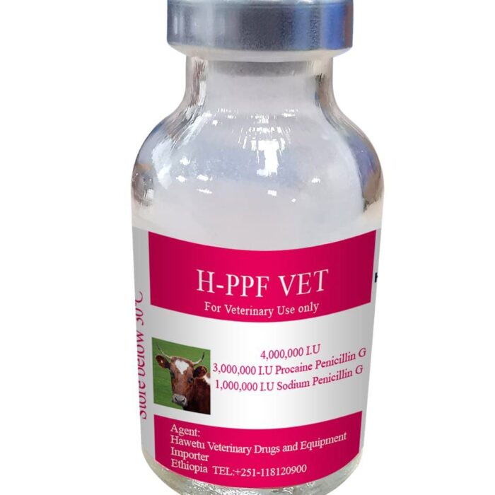 photo_2022-02-03_09-51-40